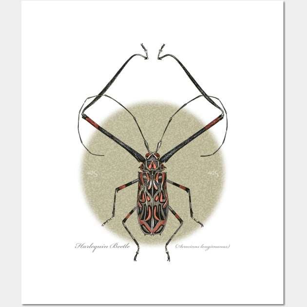 Harlequin Beetle Wall Art by 40degreesSouth